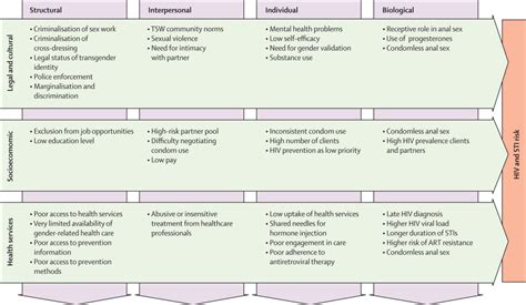 Hiv Risk And Preventive Interventions In Transgender Women Sex Workers