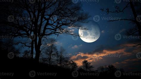 Landscape with moon in night time. Night sky with stars and silhouette ...