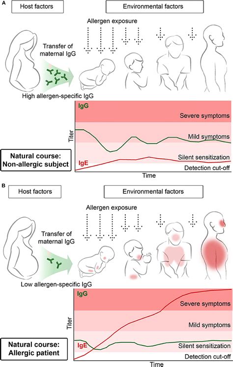 Frontiers Preventive Allergen Specific Vaccination Against Allergy