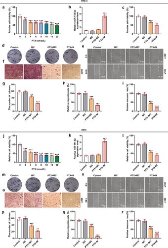 Full Article Ultrasound Targeted Microbubble Destruction Mediated MiR