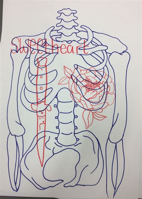 Sarah Hewitt Art — Line drawing of skeleton and objects including...