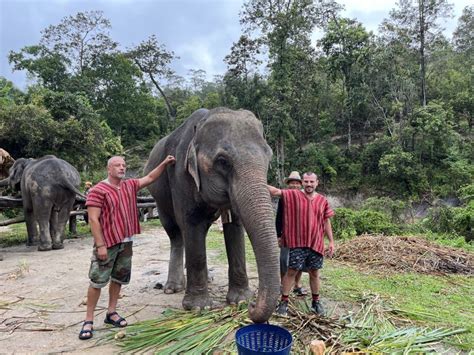 Chiang Mai Excursión en Grupo al Santuario de Elefantes y la Cascada