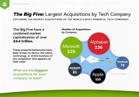 The Big Fives Biggest Acquisitions Infographic