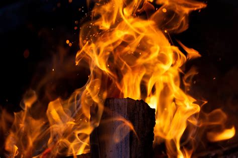 Free picture: ash, campfire, fire, fireplace, firewood, wild fire, burn ...