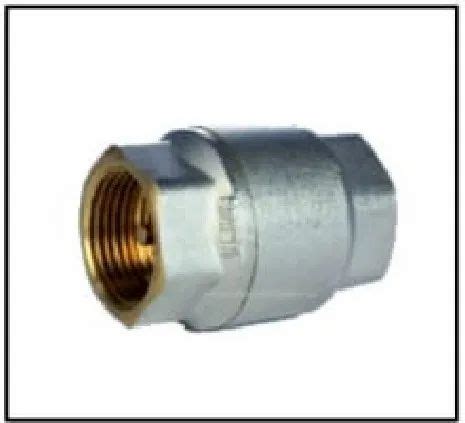 RAJ ENTERPRISE BRASS Cheak Valve For Water Screwed At Rs 550 Piece In