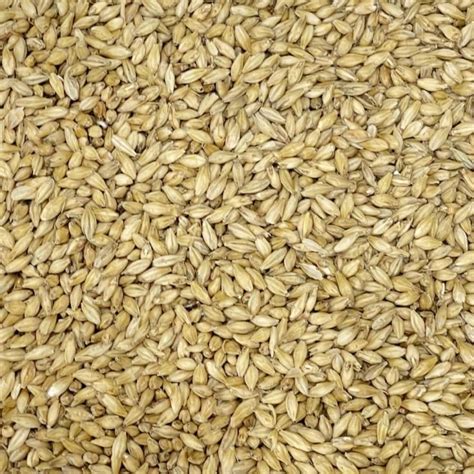 Standard 2 Row Malt Fra Rahr Malting USA Brewshop Norges Bryggebutikk