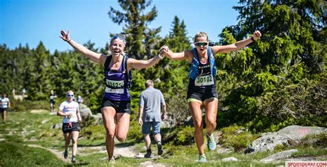 Birken Birkebeinerl Pet Flyttes Til Helga Etter Birkebeinerrittet