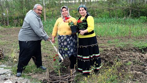 Nomadic Lifestyle In Iran Rural Lifestyle In Iran Daily Routine