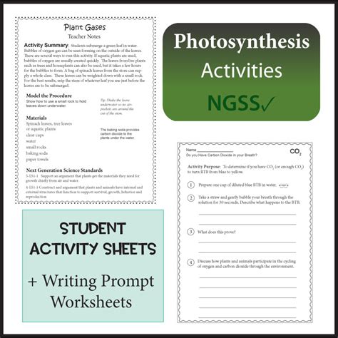 Photosynthesis Activities And Resource Packet Made By Teachers