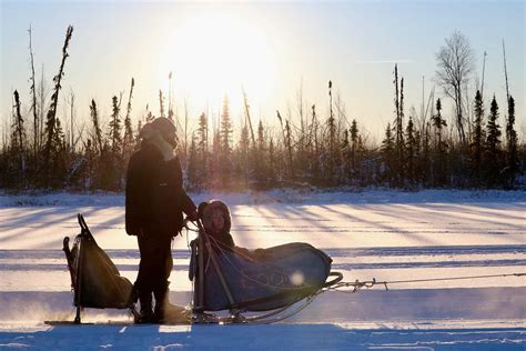 Alaska Mushing School | Sled Dog Tours in Big Lake, AK | ALASKA.ORG