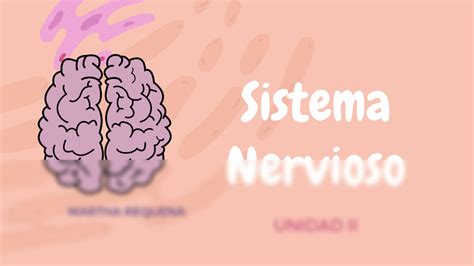 SOLUTION Copia De Presentaci N Neurociencias Studypool