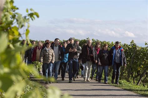 Hagnauer Weinwanderung Winzerverein Hagnau