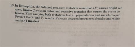 Solved The Cells Illustrated Below Belong To A Species Chegg