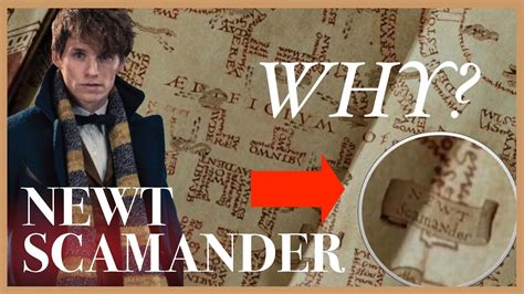 Why Newt Scamander Is On The Marauders Map Harry Potter Theory Youtube