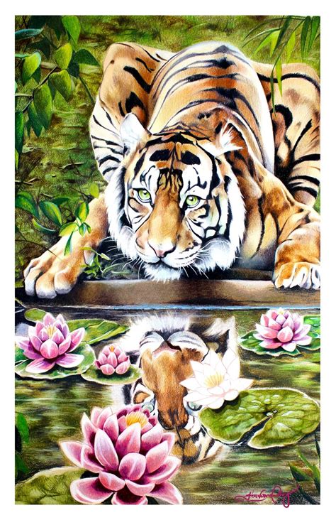 Tiger Colored Pencil drawing Tiger drawing Tiger portrait | Etsy