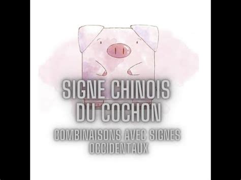 Signe Chinois Du Cochon Et Ses Combinaisons Avec Vos Signes Occidentaux