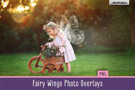 High Res Fairies Photo Overlays White Fairy Wings Digital