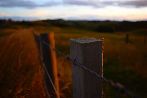 Fotos gratis paisaje naturaleza césped ligero cerca cielo