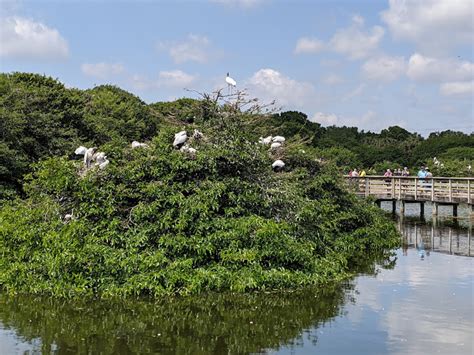 Wakodahatchee Wetlands - Great Locations