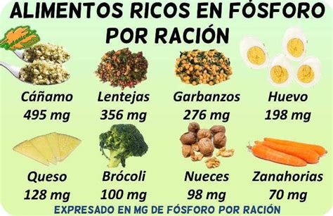 Los Alimentos M S Ricos En F Sforo