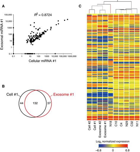 Rna Expression Profiles Of Ishikawa Cells Ishikawa Derived Exosomes