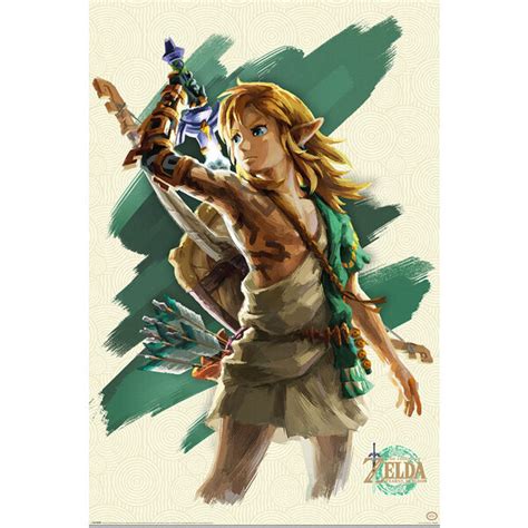 The Legend Of Zelda Tears Of The Kingdom Link Maxi Poster Hole In The