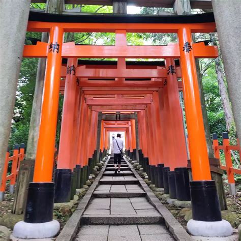 大岩山・稲荷山・今熊野山・清閑寺山・清水山・東山 Mattunさんの京都一周トレイルの活動データ Yamap ヤマップ