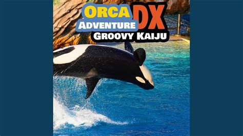 Orca Adventure Dx Youtube