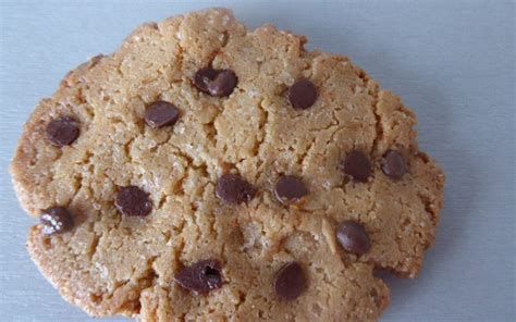 Cookies aux pépites de chocolat sans gluten Terre Agir