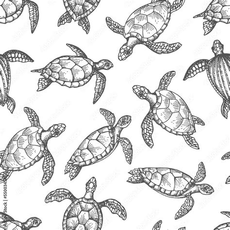 Vecteur Stock Turtle Reptile Sketches Seamless Pattern Of Marine