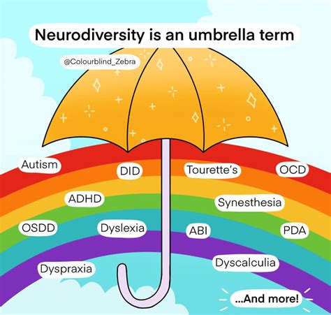 Individual Therapy For Neurodivergent Adults Playful Therapy