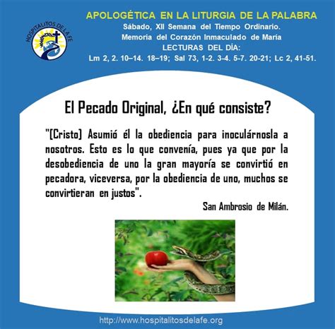 Qué es el Pecado Original Hospitalitos de la Fe Para Sanar mi Fe