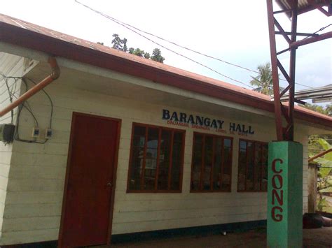 File Barangay Hall Binuangan Sindangan Zamboanga Del Norte  Philippines