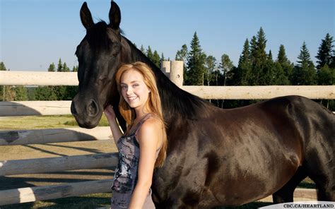 Heartland Amy And Spartan Wallpapers Wallpaper Cave