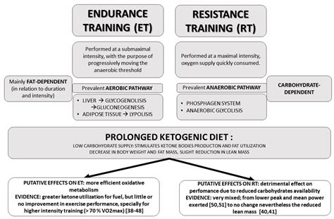 Ketogenic Diet Physical Activity And Hypertension—a Narrative Review