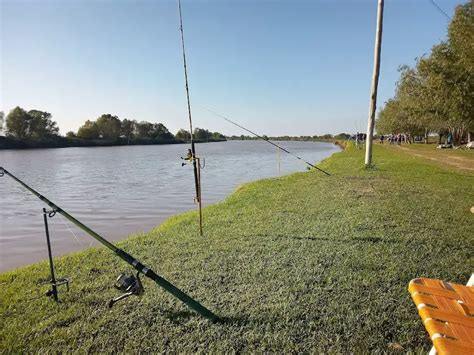 Camping Alsina Baradero Buenos Aires GuiaCamping Argentina