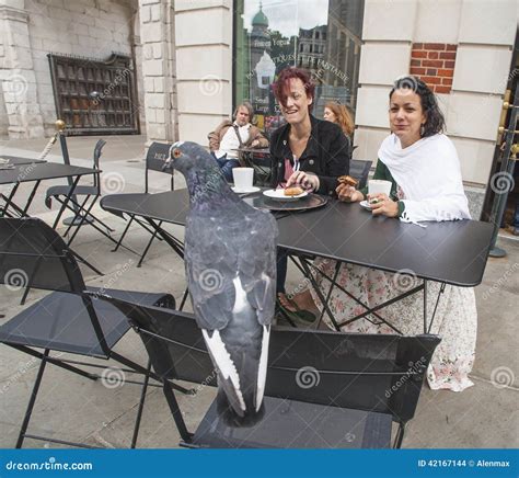 London pigeon editorial stock image. Image of people - 42167144