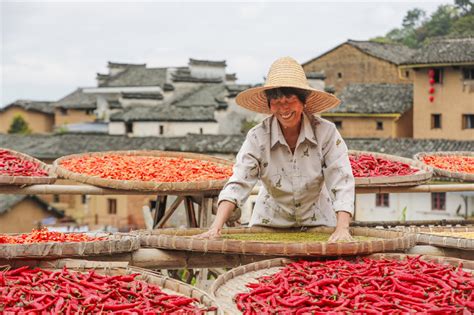 7th Chinese Farmers Harvest Festival Celebrated Across China