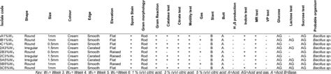 Colonial Morphological Gram Stain Reaction And Biochemical