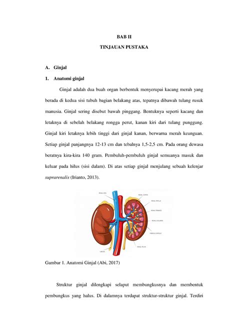 Bab Ii Mata Kuliah Keperawatan Bab Ii Tinjauan Pustaka A Ginjal