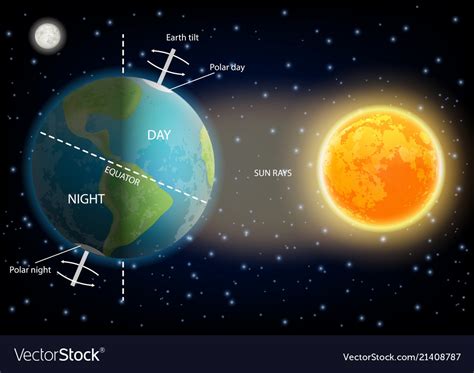 Day and night cycle diagram Royalty Free Vector Image