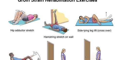 GROIN STRAIN EXERCISES - Sport Physio