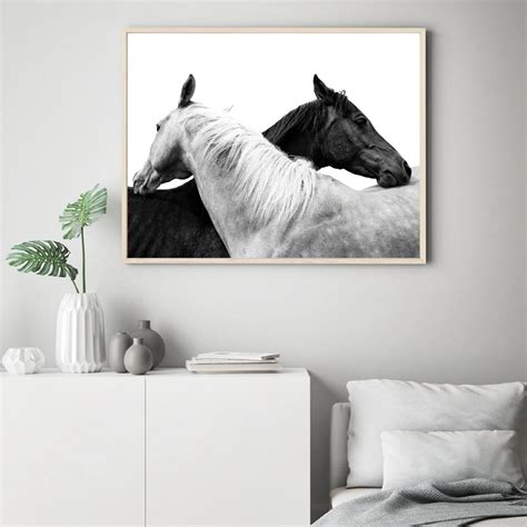 Tableau Cheval Noir Et Blanc Tableau Noir Et Blanc Okgo Net