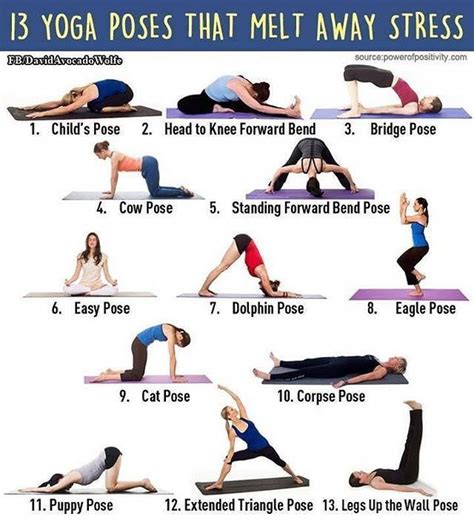 Learn Yoga Step By Step With Images Stress Yoga Yoga Benefits Yoga Poses