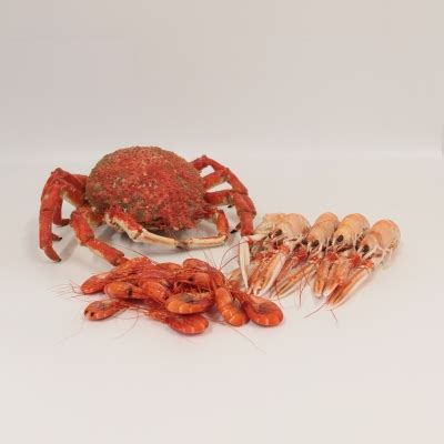 Comprar Mariscada Gallega Online Mariskito