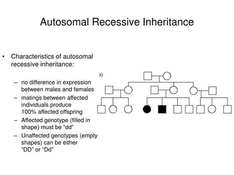 PPT - Autosomal Recessive Inheritance PowerPoint Presentation, free ...