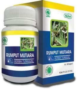 RUMPUT MUTIARA Toko AN NUR Herbal Pusat Obat Herbal Agen Madu