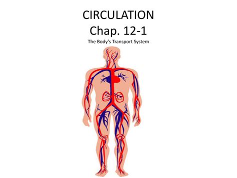 Body Transport System - Transport Informations Lane