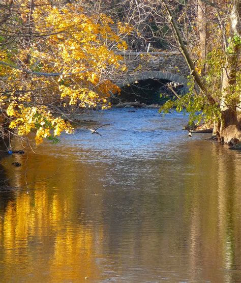 Monocacy Creek Dave Aragona Flickr