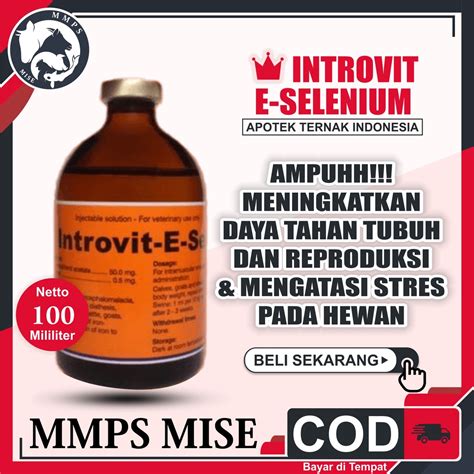 Jual INTROVIT E SELEN 100 Ml Vitamin E Selenium Tingkatkan